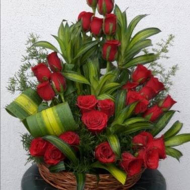35 red roses flower basket